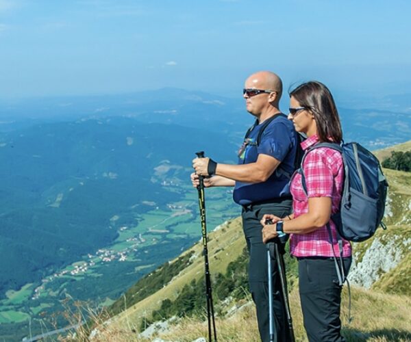 Disneyland & Universal Family Adventure